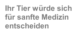 Ihr Tier würde sich für sanfte Medizin entscheiden